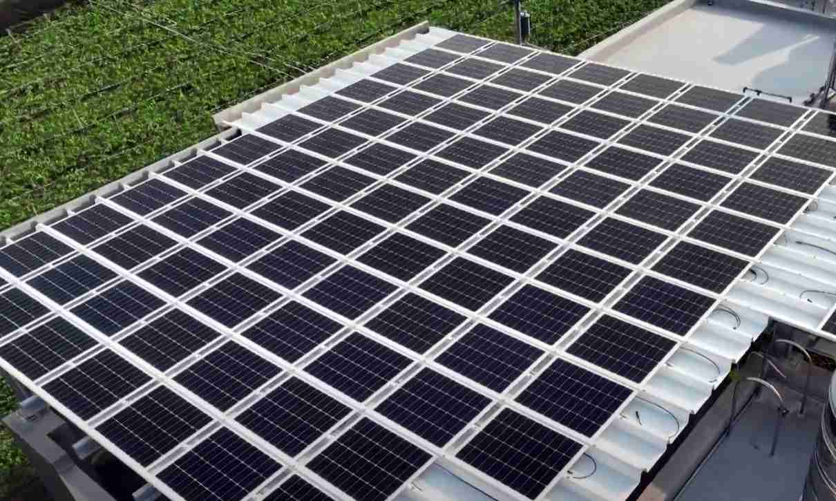 尊龙集团SunSteel光电浪板升级双玻结构，，以提升机械负载强度及气候耐候度，，，，可广泛运用于多元场域